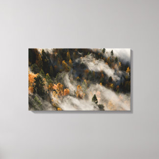 Morning Mist Canvas Print