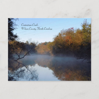 Morning Mist - Contentnea Creek Postcard
