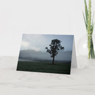 Morning Mist • Greeting Card