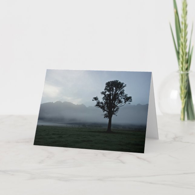 Morning Mist • Greeting Card (Front)