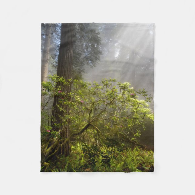 Morning Mist on Rhododendron Fleece Blanket (Front)