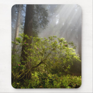 Morning Mist on Rhododendron Mouse Mat