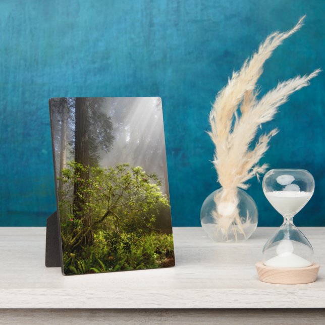 Morning Mist on Rhododendron Plaque (Side)