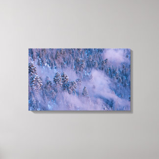 Morning Mist (Winter) Canvas Print