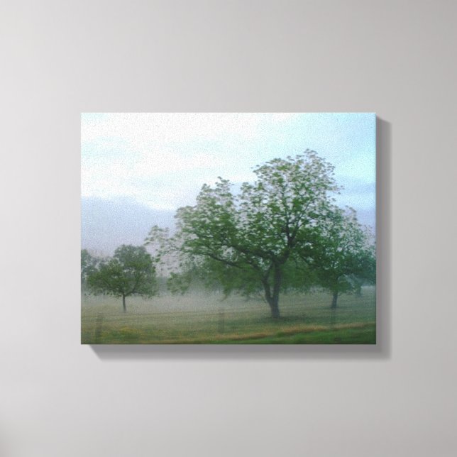 Morning Misty Fog - Sepia Canvas Print (Front)