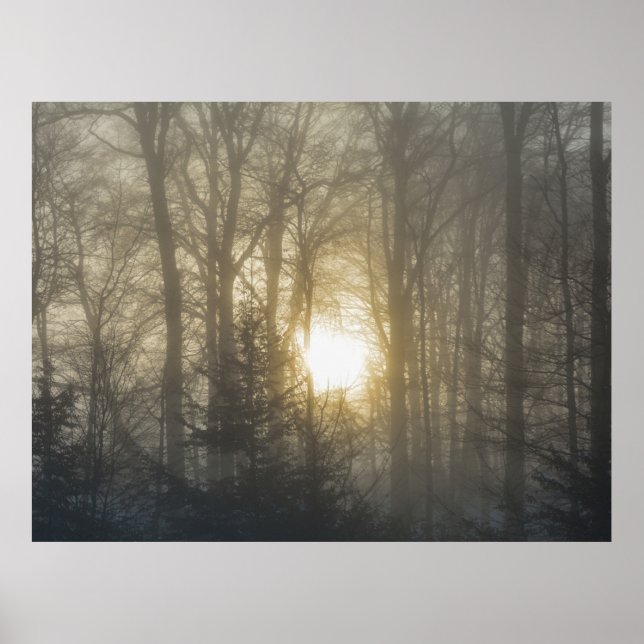 Morning Mood Poster (Front)