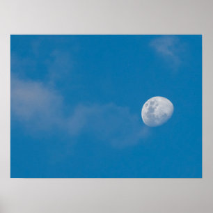Morning Moon   Zambia, Africa Poster