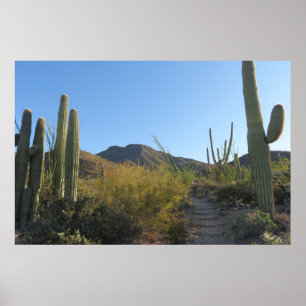 Morning on King Canyon Trail Poster