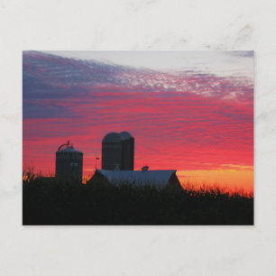 Morning On The Farm Postcard