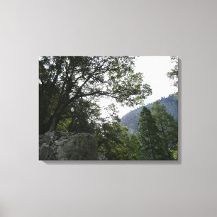 Morning on the Trail to Vernal Falls in Yosemite Canvas Print