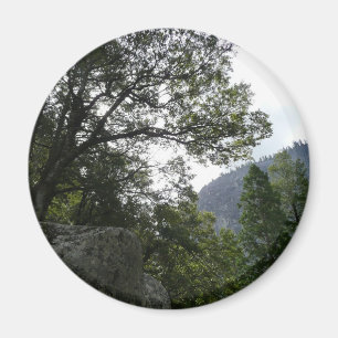 Morning on the Trail to Vernal Falls in Yosemite Magnet