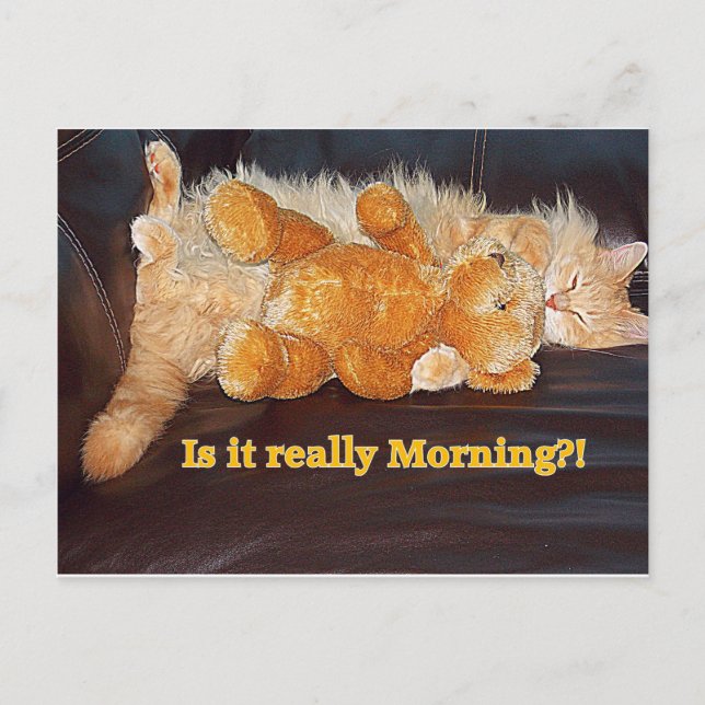 Morning?? Postcard (Front)