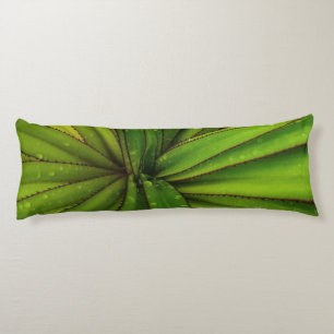 Morning Rain on the Screw Pine Body Cushion