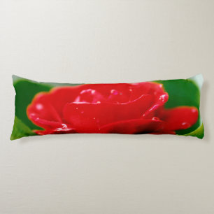 Morning red Rose covered with dew drops Body Cushion