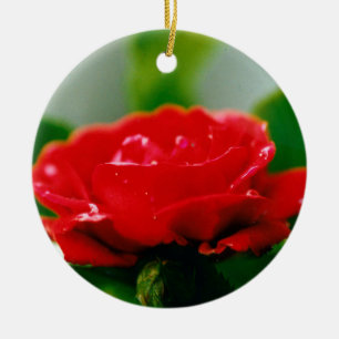 Morning Red Rose covered with dew drops Ceramic Tree Decoration