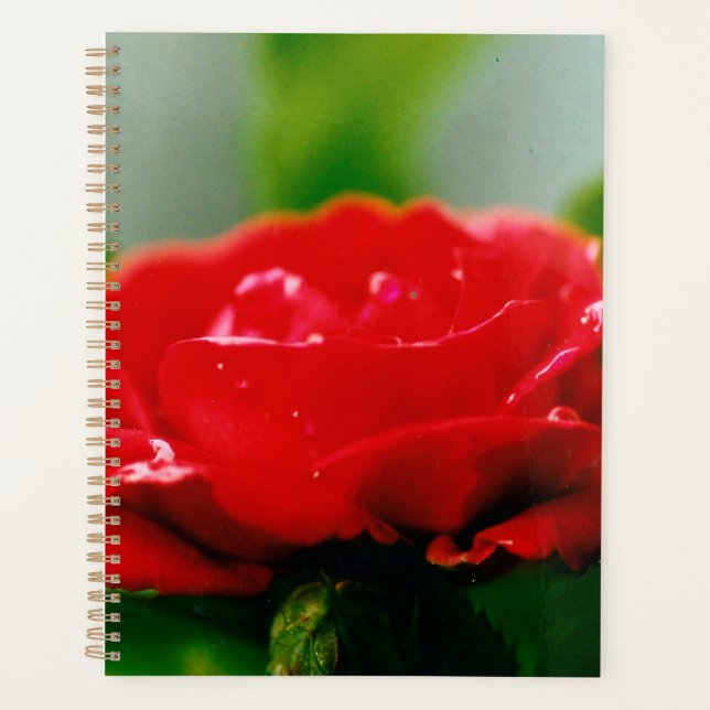 Morning red Rose covered with dew drops  Planner (Front)