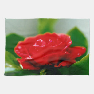 Morning red Rose covered with dew drops Tea Towel