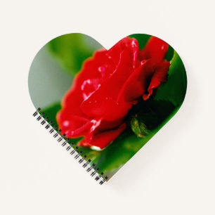 Morning Red Rose Heart shaped Spiral Notebook