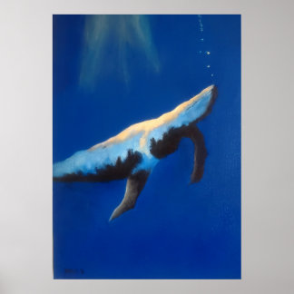 Morning Song Humpback Whale Underwater Poster