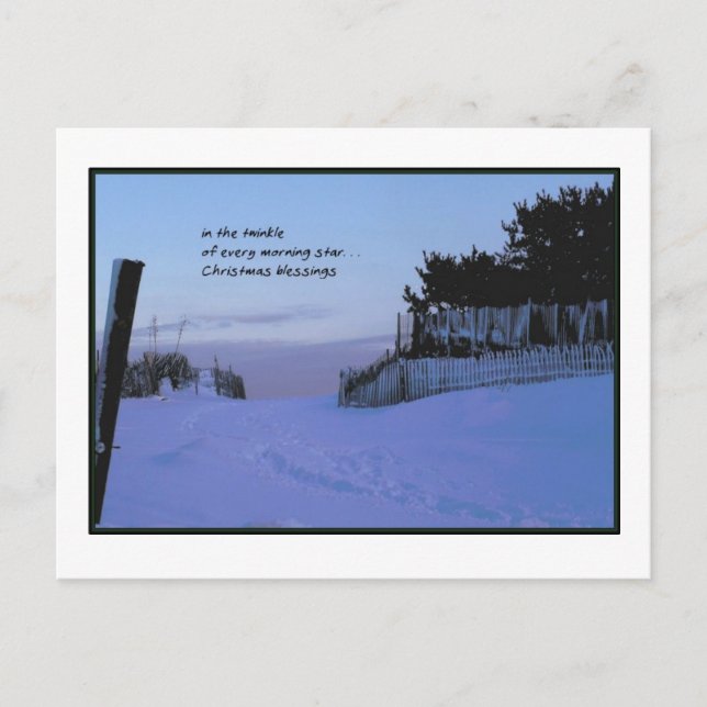 Morning Star Christmas Holiday Postcard (Front)
