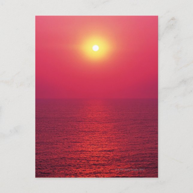 Morning Sun 3 Postcard (Front)