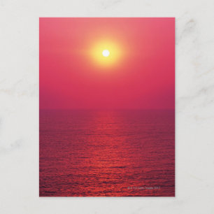 Morning Sun 3 Postcard
