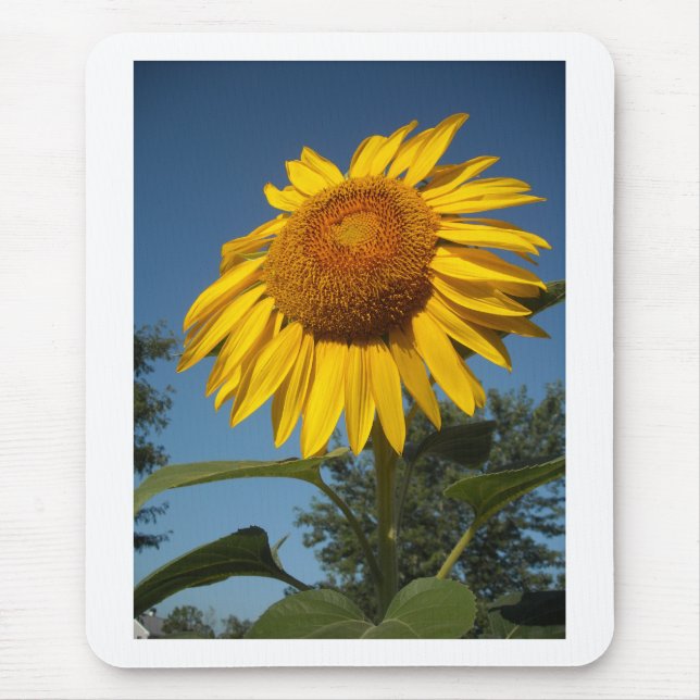 Morning Sunflower Mouse Mat (Front)