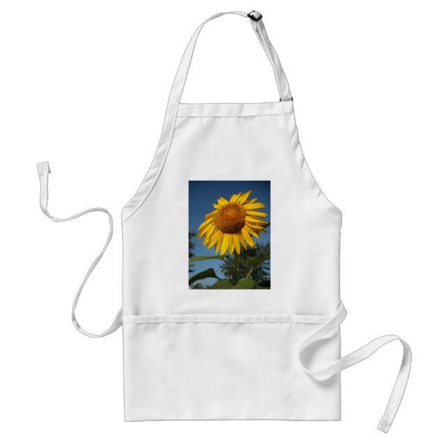 Morning Sunflower Standard Apron (Front)