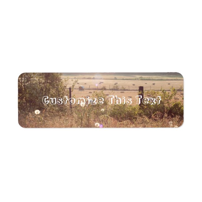 Morning Sunlight (Front)