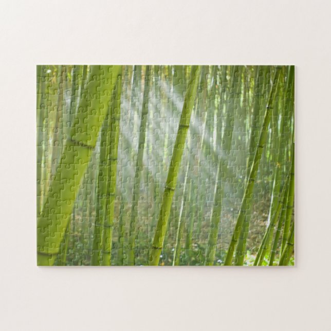 Morning sunlight filtering through bamboo jigsaw puzzle (Horizontal)