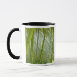 Morning sunlight filtering through bamboo mug