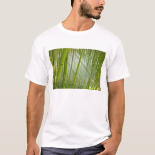 Morning sunlight filtering through bamboo T-Shirt