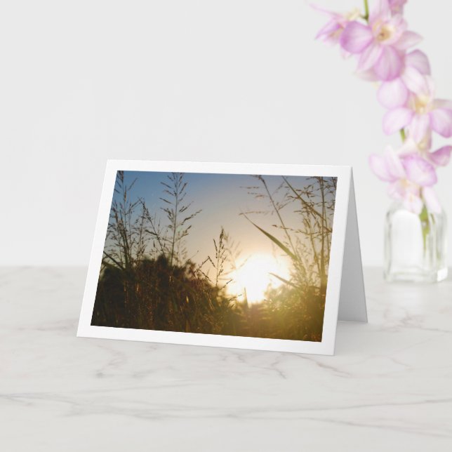 Morning Sunrise through Country Grass Card (Orchid)