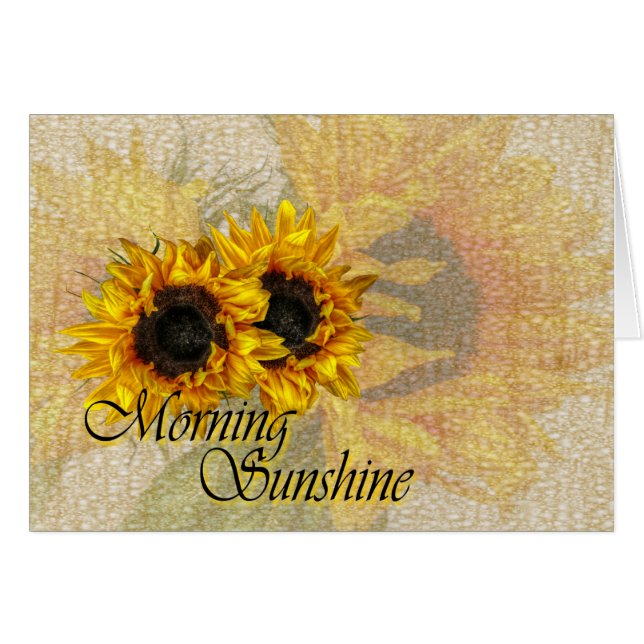 Morning Sunshine.. (Front Horizontal)