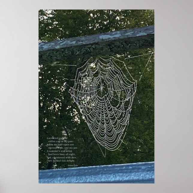Morning Surprise, A  Dew-Covered Spider Web Poster (Front)