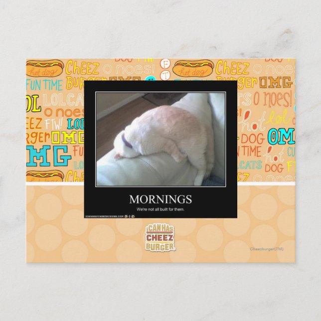 Mornings Postcard (Front)