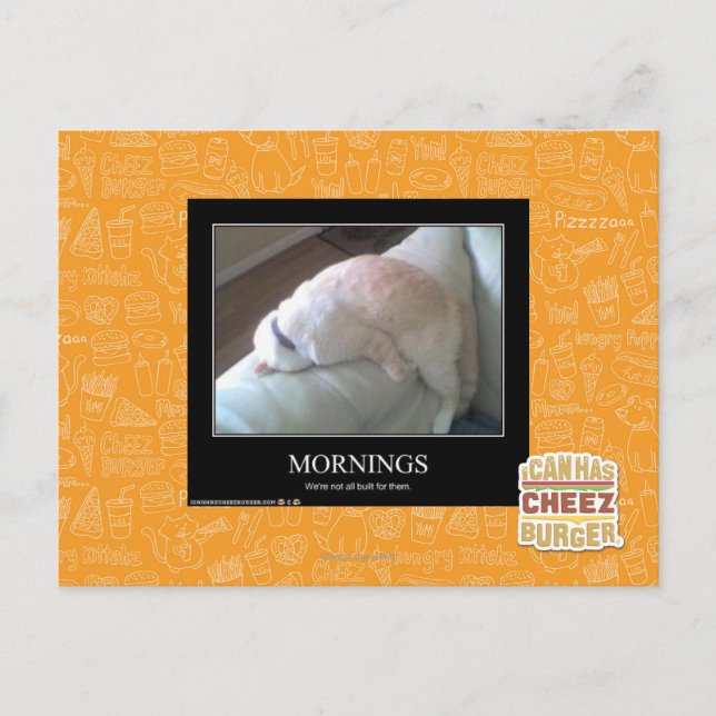 Mornings Postcard (Front)