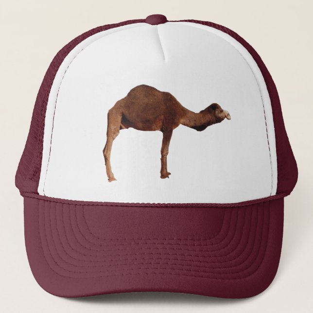 Moroccan Camel Hat (Front)