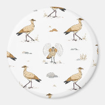 Moroccan Cream-coloured Courser Bird Pattern
