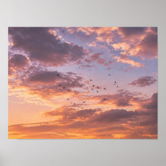 Moroccan Olive Grove Sunset - Pink Golden Clouds O Poster