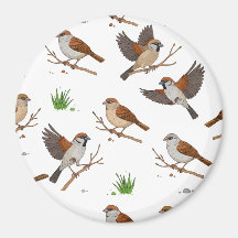 Moroccan Sparrow Birds Pattern