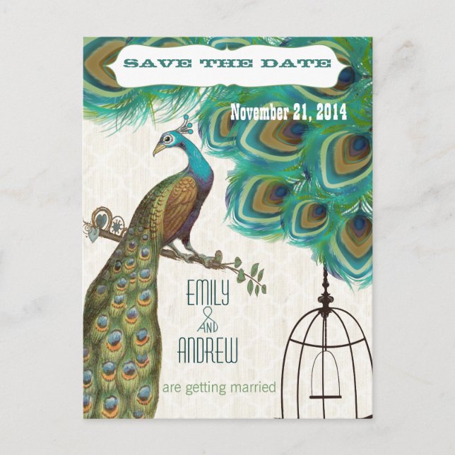 Moroccan Tile Peacock Birdcage Save the Date Announcement Postcard (Front)