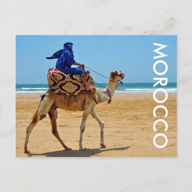 morocco arab ride camel seaside beach postcard (Front)