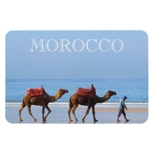 morocco beach camels magnet (Horizontal)