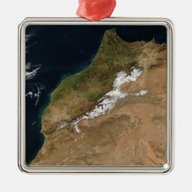 Morocco Metal Tree Decoration (Front)