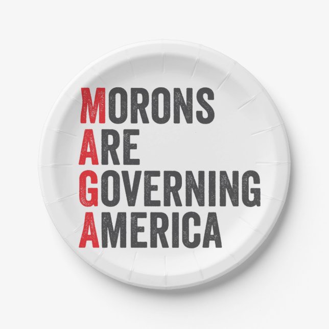 Morons Are Governing America 4th of July  Paper Plate (Front)