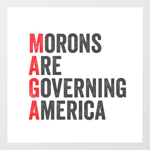 Morons Are Governing America 4th of July  Window Cling
