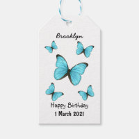 Morpho butterflies cartoon illustration