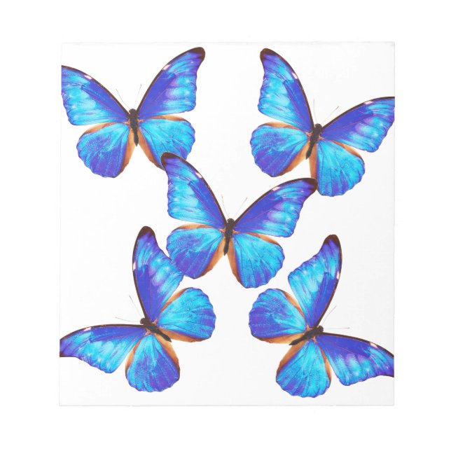“Morpho Butterfly”の優良製品 Notepad (Front)