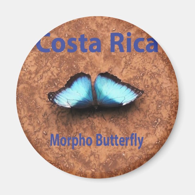 Morpho butterfly Costa Rica Magnet (Front)